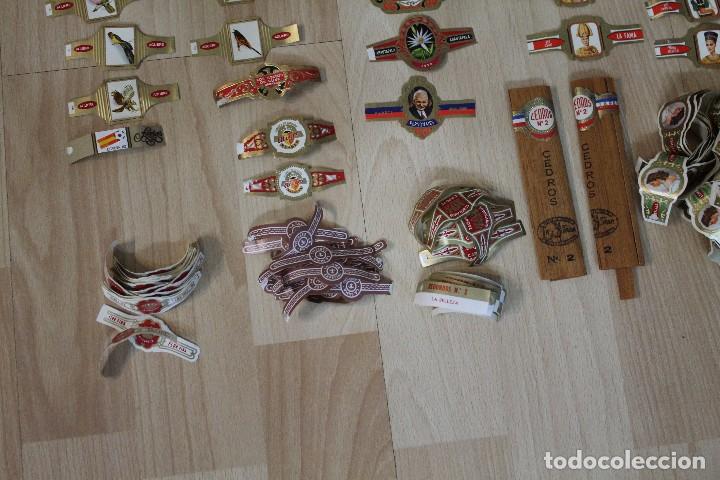 Vitolas de colecci&oacute;n: LOTE 180 VITOLAS - Foto 8