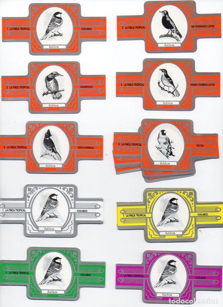 Vitolas de colecci&oacute;n: Vitolas. Serie completa La Finca Tropical - Aves, blanco y plata,12 vitolas.