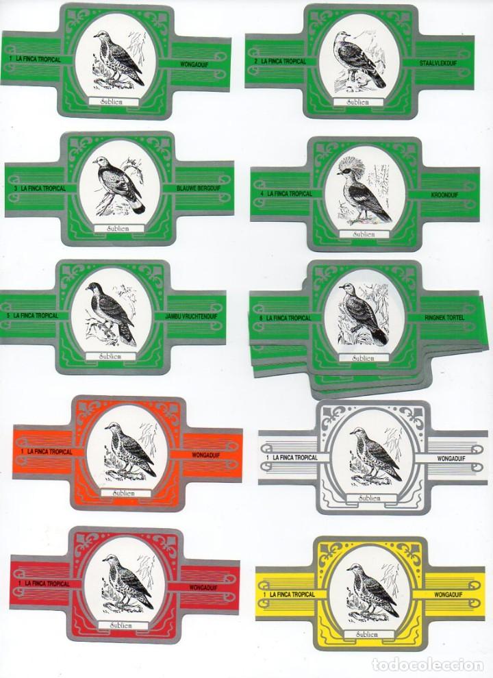 Vitolas de colecci&oacute;n: Vitolas. Serie completa La Finca Tropical - Codornices, rojo y plata,12 vitolas.