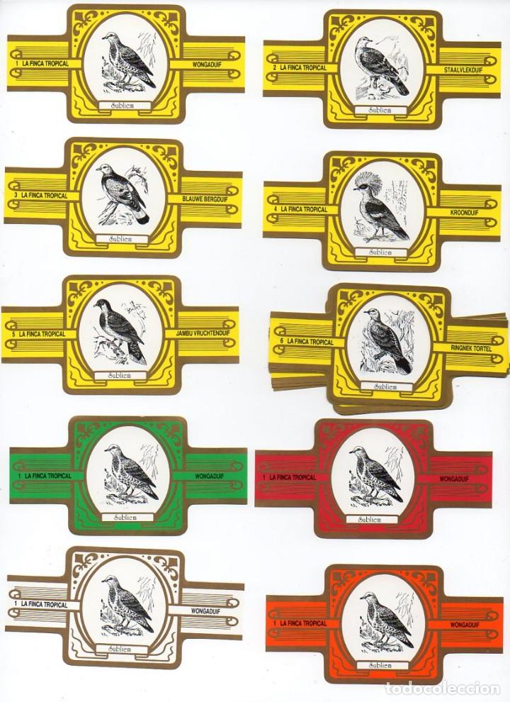 Vitolas de colecci&oacute;n: Vitolas. Serie completa La Finca Tropical - Codornices, amarillo y oro,12 vitolas.