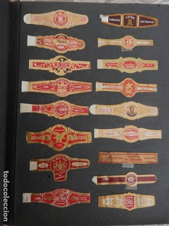 Vitolas de colecci&oacute;n: LOTE 79 VITOLAS - Foto 3