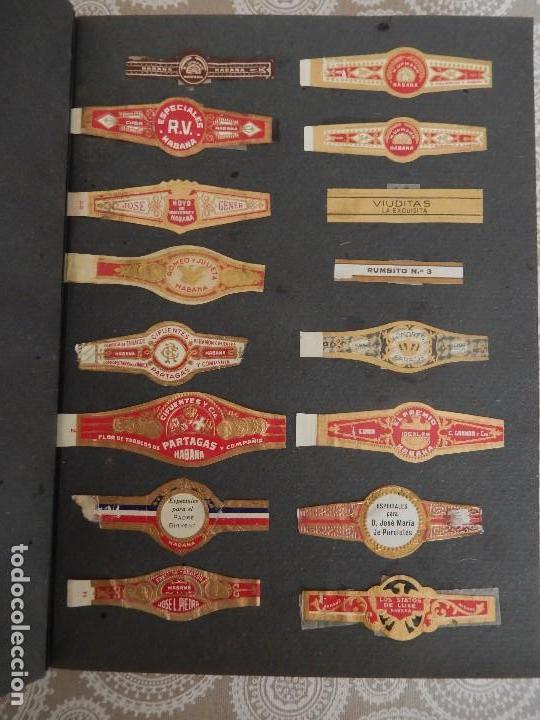 Vitolas de colecci&oacute;n: LOTE 79 VITOLAS - Foto 4