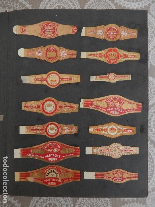 Vitolas de colecci&oacute;n: LOTE 79 VITOLAS - Foto 1