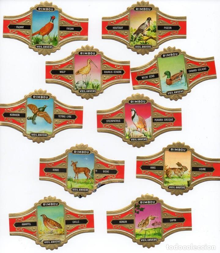 Vitolas de colecci&oacute;n: Vitolas. Serie completa marca Vieil Anvers - Aves y Mam&iacute;feros, 10 vitolinas