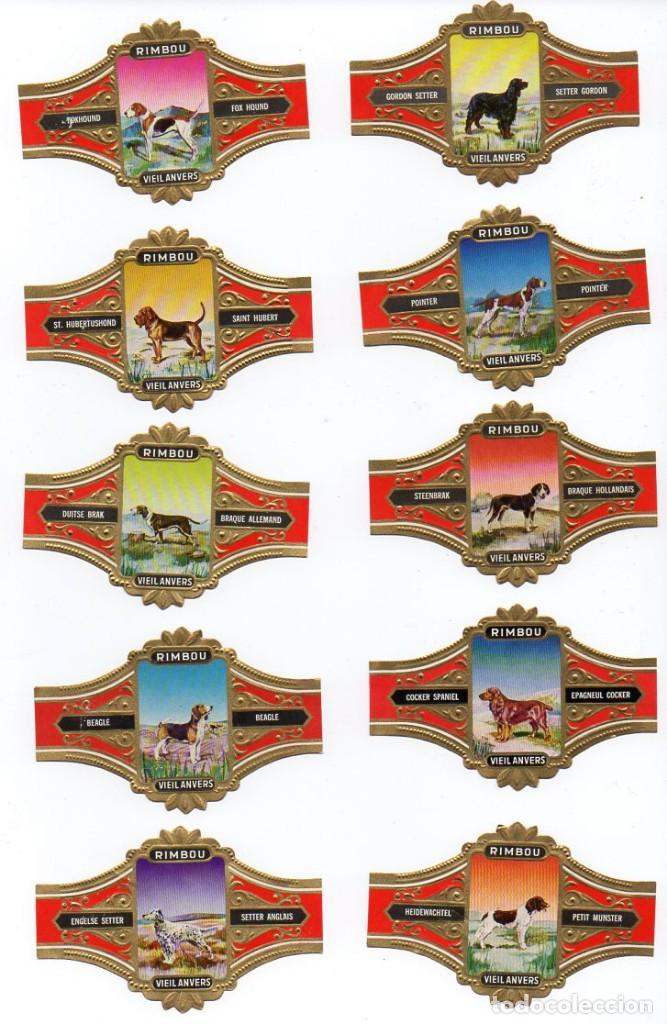 Vitolas de colecci&oacute;n: Vitolas. Serie completa marca Vieil Anvers - Perros, 10 vitolinas