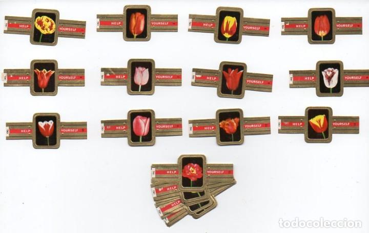 Vitolas de colecci&oacute;n: Vitolas, Serie Help Yourself - Tulipanes, 24 vitolas.