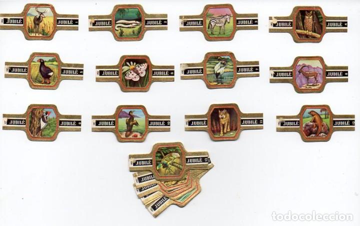Vitolas de colecci&oacute;n: Vitolas, Serie Jubile - Fauna, 24 vitolas