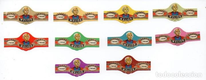 Vitolas de colecci&oacute;n: Vitolas. Serie completa marca Tinchant - Melior, serie 1, 10 vitolas