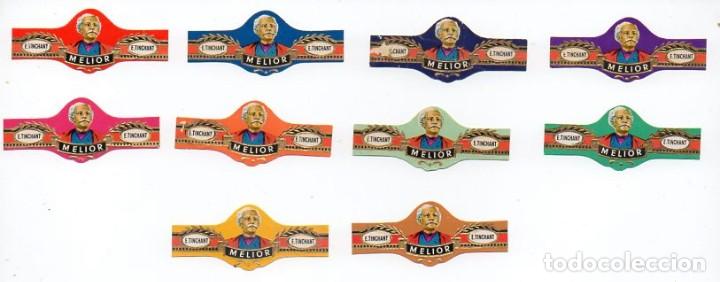 Vitolas de colecci&oacute;n: Vitolas. Serie completa marca Tinchant - Melior, serie 2, 10 vitolas