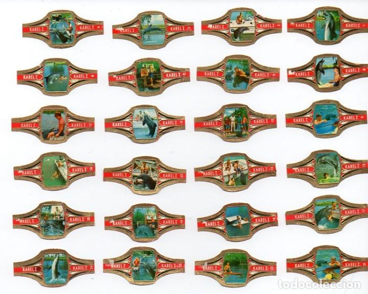 Vitolas de colecci&oacute;n: Vitolas,Serie Karel I - Delfines (Flipper), 24 vitolas