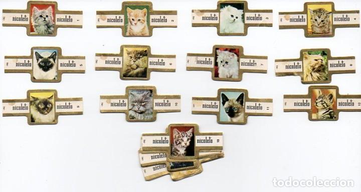 Vitolas de colecci&oacute;n: Vitolas, Serie completa marca Nicoleto- Gatos, 24 vitolas