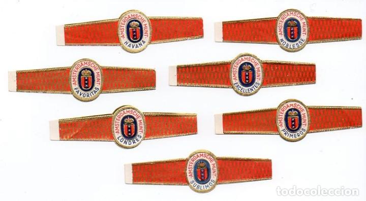 Vitolas de colecci&oacute;n: Vitolas. Serie completa Amsterdamsche Munt - Ovalada. 7 vitolas.