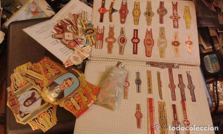 Vitolas de colecci&oacute;n: Colecci&oacute;n de mas de 300 vitolas de puros, varios tama&ntilde;os, muchas tem&aacute;ticas. Tabaco.