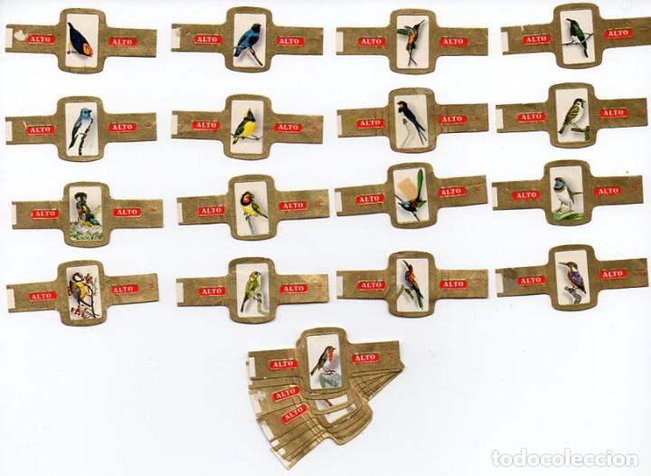 Vitolas de colecci&oacute;n: Vijosefa. Serie completa Alto, P&aacute;jaros, 24 vitolas
