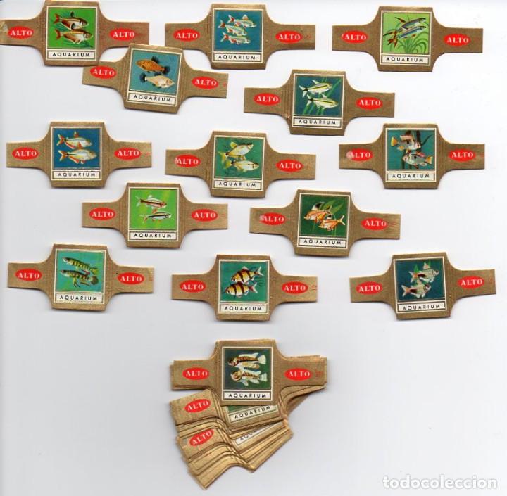 Vitolas de colecci&oacute;n: Vijosefa. Serie completa Alto - Acuario. 48 vitolas