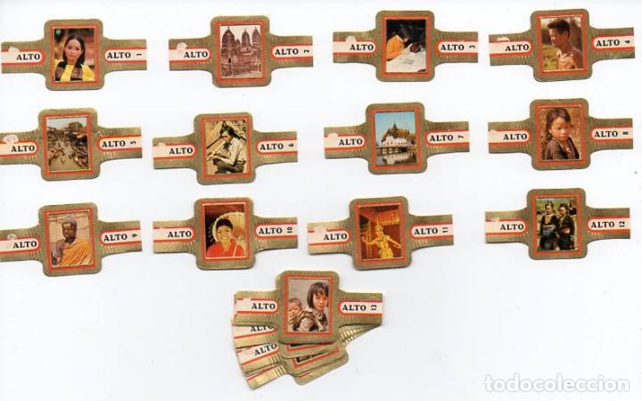 Vitolas de colecci&oacute;n: Vitolas. Serie Alto - Thailandia, f.p. 24 vitolas.