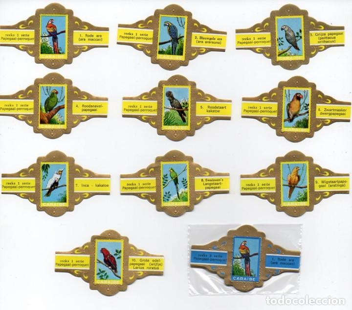 Vitolas de colecci&oacute;n: Vitolas. Serie completa Caraibe - Loros, amarillo, 10 vitolas.