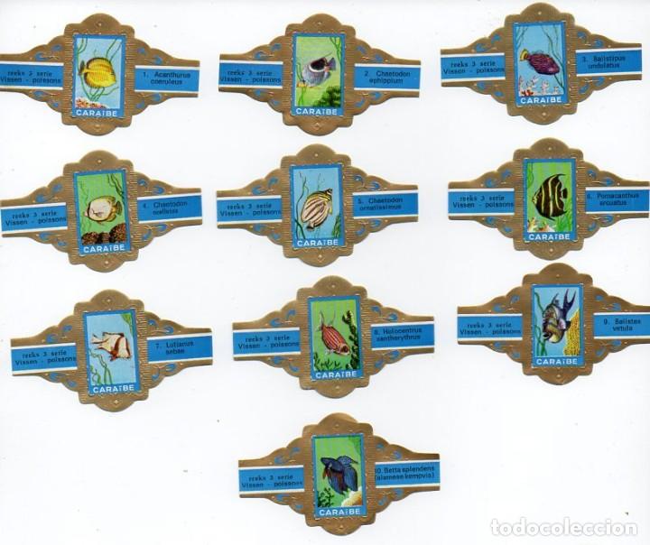 Vitolas de colecci&oacute;n: Vitolas. Serie completa Caraibe - Peces, 10 vitolas.