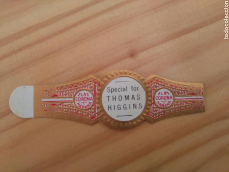 Vitolas de colecci&oacute;n: B- vitola Special for Thomas Higgins. La Corona, Habana, Cuba. Cigarro