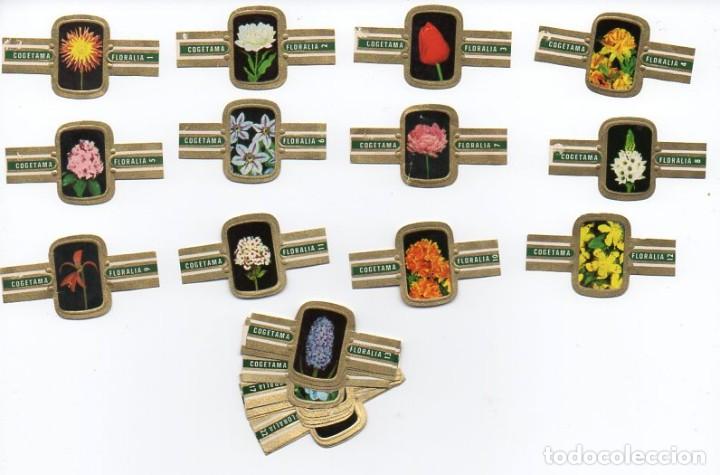 Vitolas de colecci&oacute;n: Vitolas. Serie Cogetama- Floralia Serie 2, verde. 24 vitolas.