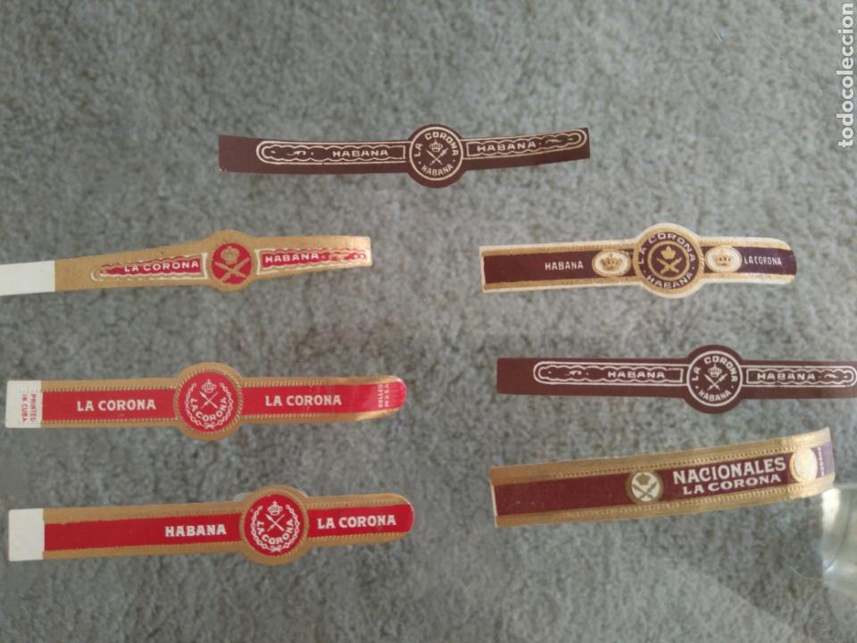 Vitolas de colecci&oacute;n: C- 7 vitolas anillas cigarro La Corona. Habana Cuba