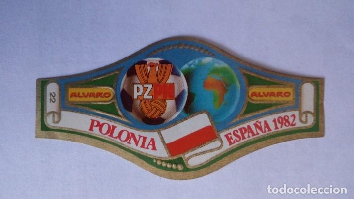 Vitolas de colecci&oacute;n: VITOLA MUNDIAL ESPA&Ntilde;A 1982 - POLONIA, FABRICA DE TABACOS ALVARO