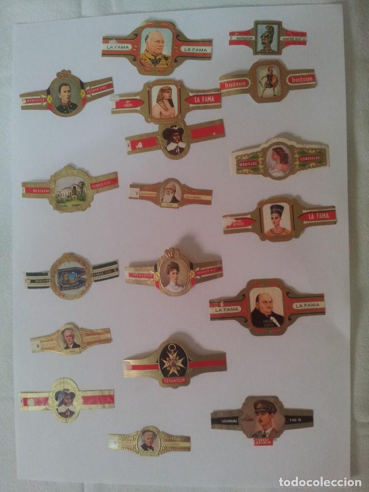 Vitolas de colecci&oacute;n: LOTE DE VITOLAS VARIADAS - Foto 1