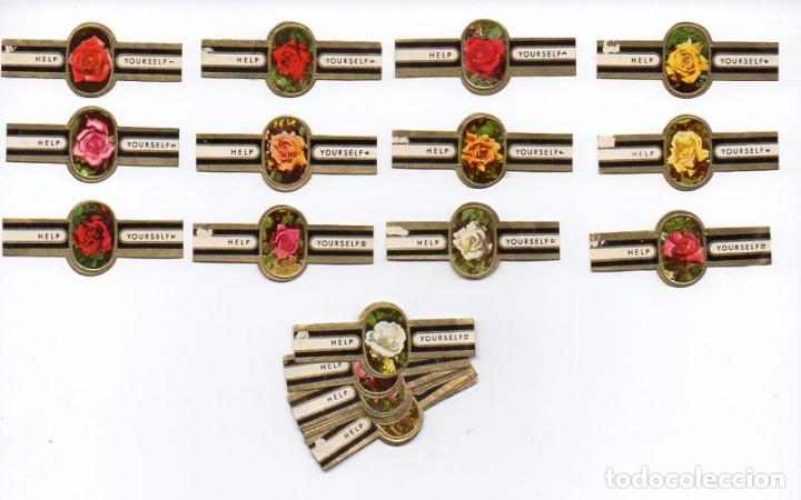 Vitolas de colecci&oacute;n: Vitolas, Serie Help Yourself - Rosas, 24 vitolas.