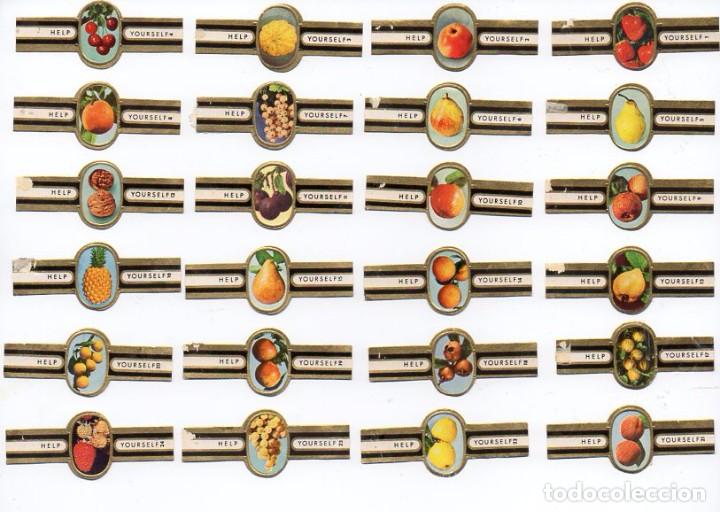 Vitolas de colecci&oacute;n: Vitolas, Serie Help Yourself - Frutas, 24 vitolas.