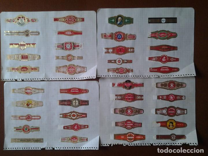 Vitolas de colecci&oacute;n: VITOLAS DE PUROS HABANA