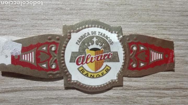Vitolas de colecci&oacute;n: Vitola &Aacute;LVARO - Foto 1