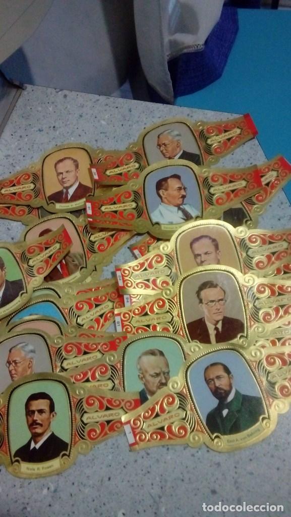 Vitolas de colecci&oacute;n: VITOLAS SERIE PREMIOS NOBEL MEDICINA Y FISIOLOGIA LOTE DE 23 UDS. PUROS ALVARO
