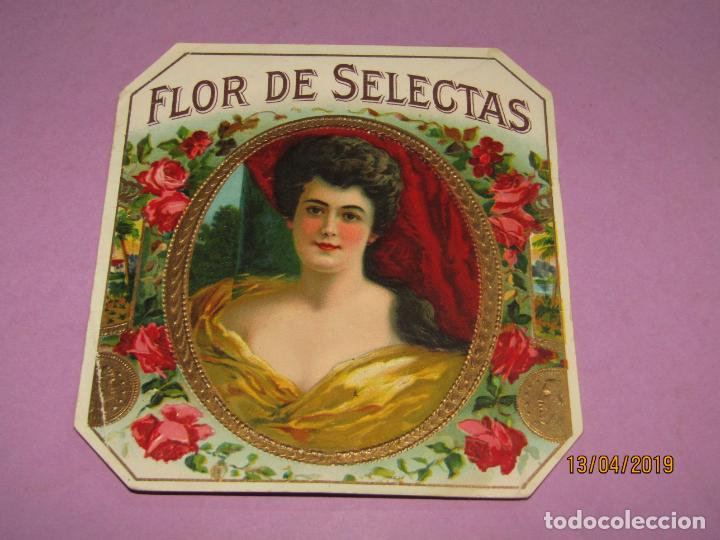 An&eacute;is de charuto de cole&ccedil;&atilde;o: Antigua Habilitaci&oacute;n PAPELETA de F&aacute;brica de Tabacos con FLOR DE SELECTAS Litograf&iacute;a Estampaci&oacute;n Oro