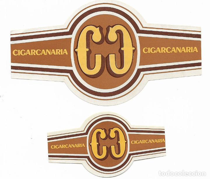 Vitolas de colecci&oacute;n: CIGARCANARIA - 18 DE MARZO DE 1981 CONSTITUCI&Oacute;N - SERIE DE 2 VITOLAS