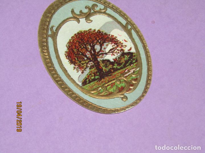 Collection cigar bands: Antigua Habilitaci&oacute;n en Litograf&iacute;a TAPACLAVOS Tabacos con Estampaci&oacute;n en Oro
