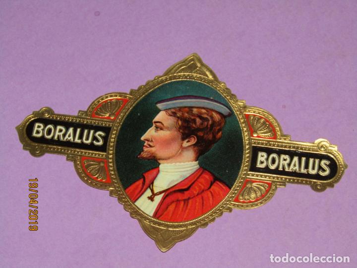 Sammlung von Banderolen: Antigua Habilitaci&oacute;n TAPACLAVOS en Litograf&iacute;a Tabacos con BORALUS Estampaci&oacute;n en Oro