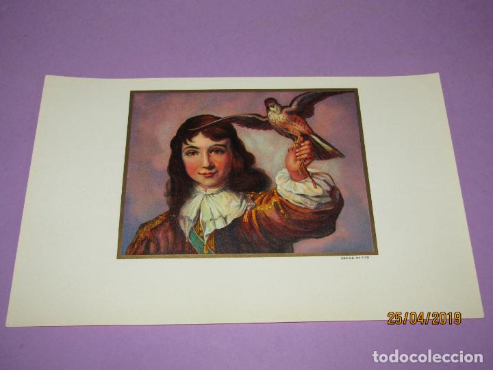 Sammlung von Banderolen: Antigua Habilitaci&oacute;n en Litograf&iacute;a de Tabacos con Estampados en Oro
