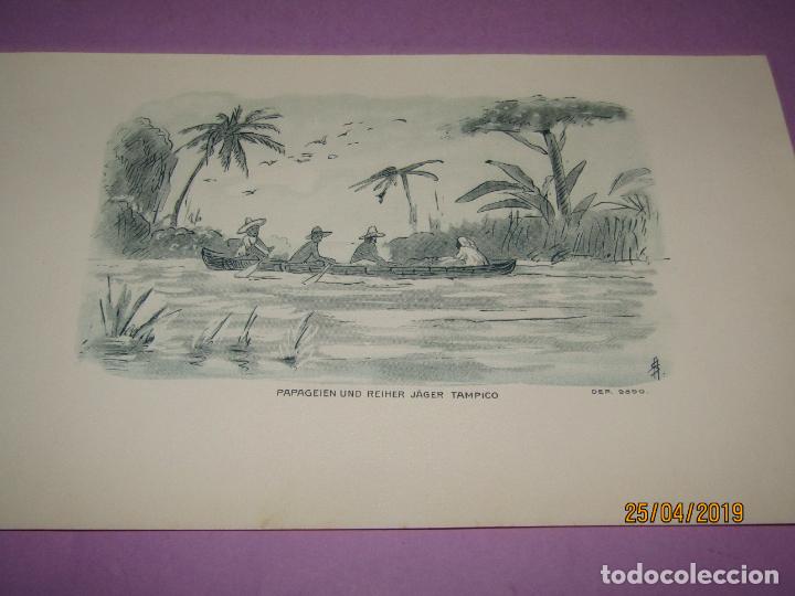 Sammlung von Banderolen: Antigua Habilitaci&oacute;n en Litograf&iacute;a de Tabacos