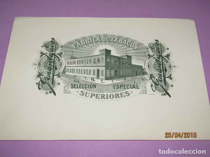 Collection cigar bands: Antigua Habilitaci&oacute;n en Litograf&iacute;a de Tabacos