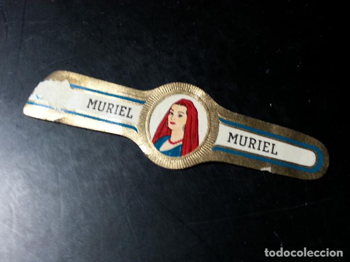 Vitolas de colecci&oacute;n: VITOLA MURIEL - Foto 1