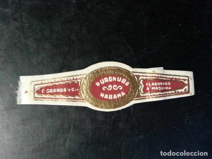 Vitolas de colecci&oacute;n: VITOLA PUROCUBA - Foto 1