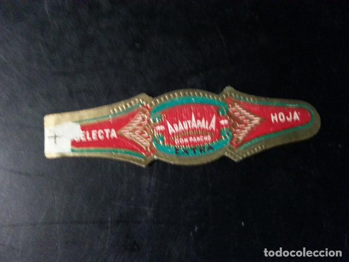 Vitolas de colecci&oacute;n: VITOLA ARAUTAPALA - Foto 1