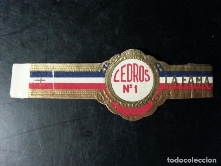 Vitolas de colecci&oacute;n: VITOLA CEDROS 1 - Foto 1