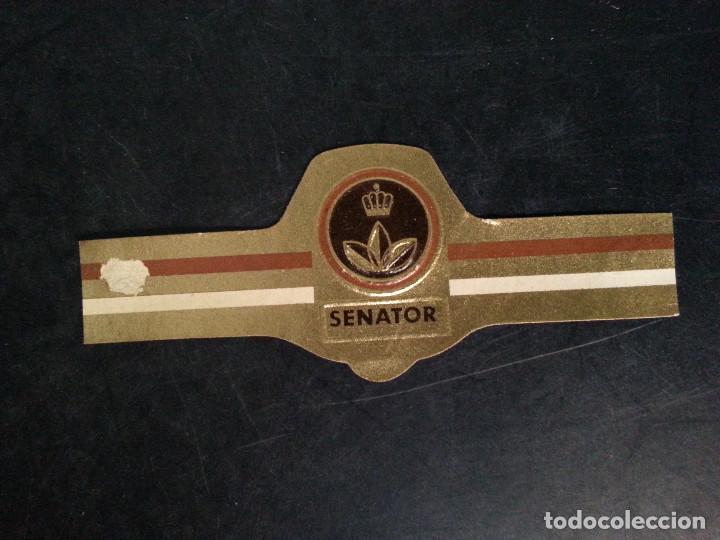 Vitolas de colecci&oacute;n: VITOLA SENATOR - Foto 1