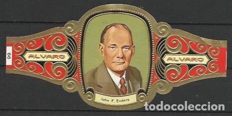 Vitolas de colecci&oacute;n: ALVARO-.-ID 7-68.- Serie PREMIOS NOBEL DE MEDICINA.-Vitola n&ordm; 66