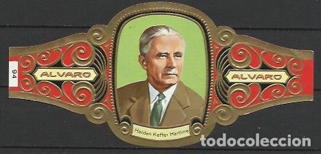 Vitolas de colecci&oacute;n: ALVARO.- ID 7-70.- Serie PREMIOS NOBEL DE MEDICINA.-Vitola n&ordm; 94