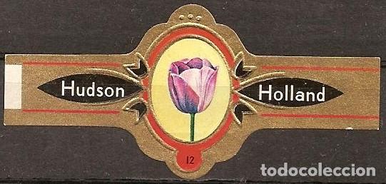 Vitolas de colecci&oacute;n: HUDSO.-ID 116.-SERIE TULIPANES NEGROS.- SERIE ENTERA