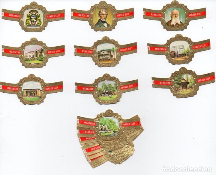 Vitolas de colecci&oacute;n: Vitolas. Serie completa Mercator - Zoolog&iacute;a. 24 vitolas.