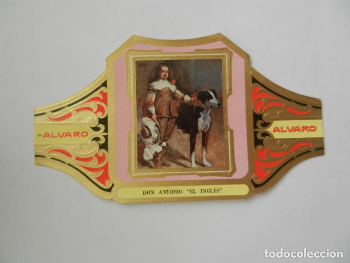 Vitolas de colecci&oacute;n: VITOLA ALVARO-SERIE CUADRO DE PINTORES ESPA&Ntilde;OLES-DON ANTONIO EL INGL&Eacute;S - VEL&Aacute;ZQUEZ.