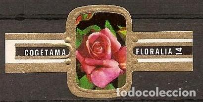 Vitolas de colecci&oacute;n: COGETAMA-42.-SERIE FLORALIA.-2&ordf; NEGRO.-24 VITOLAS.-COMPLETA